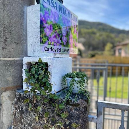 Apartamento Casa Mia Malva Riccò del Golfo di Spezia Exterior foto