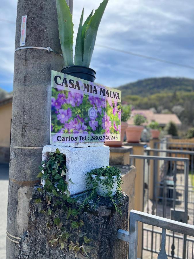 Apartamento Casa Mia Malva Riccò del Golfo di Spezia Exterior foto