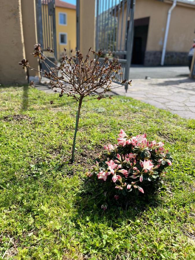 Apartamento Casa Mia Malva Riccò del Golfo di Spezia Exterior foto