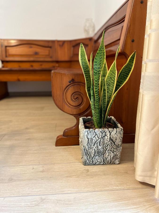 Apartamento Casa Mia Malva Riccò del Golfo di Spezia Exterior foto